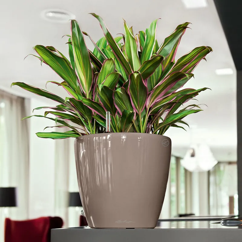 Lechuza® Lechuza® 'Classico LS 28', taupe, ca. Ø 28 x H 26 cm, Braungrau, – Produktbild 1 von 1