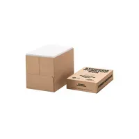 Steinbeis Steinbeis Kopierpapier No. 4 Evolution White 2.500 Bl./Pack. – Produktbild 2 von 2
