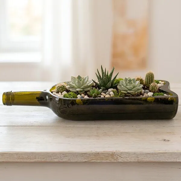 Upglassic Upglassic Upcycling-Planter | Weinflasche | Pflanzgefäß für Sukkulenten – Produktbild 3 von 8