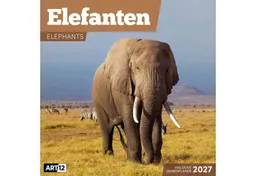 Ackermann Wandkalender Elefanten Kalender 2027 - 30x30 - Art12 – Produktbild 1 von 1
