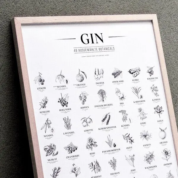 531 Rheinland Design 531 Rheinland Design Gin Plakat, 49 ausgewählte Kräuter Botanicals Gin Aromen als Poster – Produktbild 1 von 5