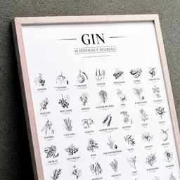 531 Rheinland Design 531 Rheinland Design Gin Plakat, 49 ausgewählte Kräuter Botanicals Gin Aromen als Poster – Produktbild 1 von 1