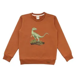 Walkiddy Kinder Sweatshirt GOTS zertifiziert, braun, Dino-Print, weich & elastisch – Walkiddy – Produktbild 1 von 1