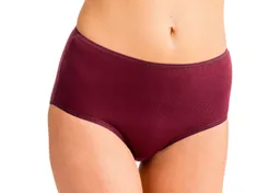 HERMKO Taillenslip 1150 Schlüpfer Bio-Baumwolle, elast. Abschluss, briefs, Basic Feinripp – Produktbild 1 von 1