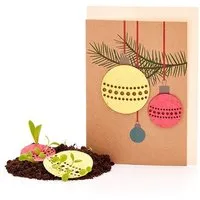 Die Stadtgärtner Die Stadtgärtner Nachhaltige Weihnachtskarte zum Einpflanzen mit Christbaumkugel-Motiv inkl. Umschlag | Grußkarte Weihnachten mit Saatgut | Weihnachtsgrußkarte zum Verschenken | Weihnachtliche Klappkarte – Produktbild 1 von 1