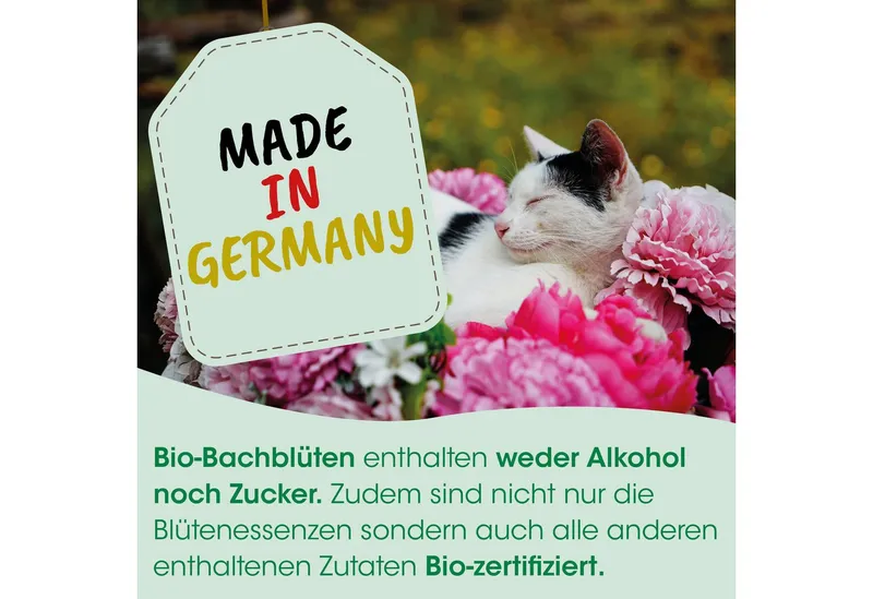 cdVet cdVet Bio-Bachblüten Stress 20ml – Produktbild 5 von 7