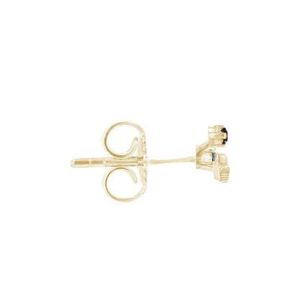Eppi Eppi Ohrringe mit Sternzeichen Aquarius, Gold, – Produktbild 3 von 4