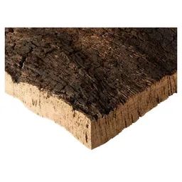 Kork-Deko Kork-Deko 177,92 EUR/m² Korkrinde als Rohware – unbehandelt & unbearbeitet 30 x 40 x 3 cm – Produktbild 1 von 1