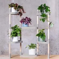 CitySens CitySens Blumenregal mit 6 Ablagen, Gris, – Produktbild 1 von 1