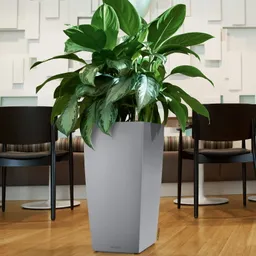Lechuza® Lechuza® 'Cubico 40', silber, ca. 39,5 x 39,5 x H 75,5 cm – Produktbild 1 von 1