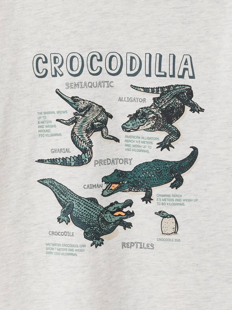 Vertbaudet Kinder T-Shirt zum Entdecken, Weiß meliert, – Produktbild 3 von 3