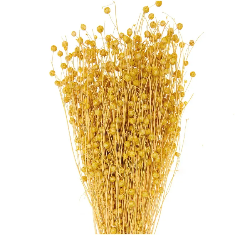 Rico Design Rico Design Getrockneter Flachs gelb 60-75cm 100g, Gelb, – Produktbild 1 von 1