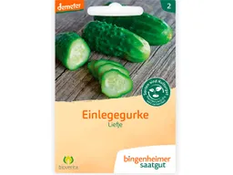 Bingenheimer Saatgut bingenheimer saatgut Bio-Samen Einlegegurke "Liefje", 1 Stk. – Produktbild 1 von 1