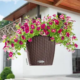 Lechuza® Lechuza® 'Nido Cottage 28', mokka, ca. Ø 27 x H 23 cm – Produktbild 1 von 1