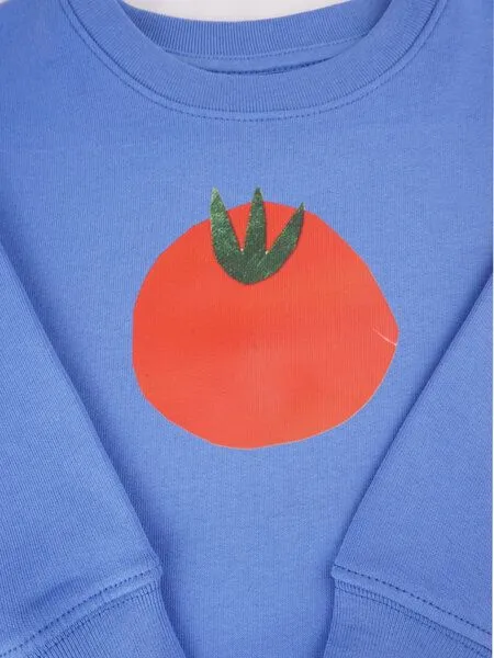 MelaDi Meladi Kinder Sweater aus Biobaumwolle - Tomate auf Aqua Blue, Natural white, – Produktbild 2 von 5