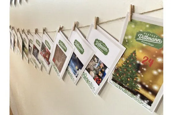Saatgut Dillmann Saatgut Dillmann Adventskalender – Produktbild 2 von 4