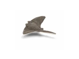 Senger Naturwelt Senger Naturwelt Kuscheltier Manta 40 x 4 x 39 cm (klein) – Produktbild 1 von 1
