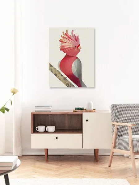 Photocircle Photocircle Poster / Leinwandbild - Galah Kakadu – Produktbild 3 von 4