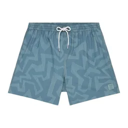 Iriedaily Iriedaily Crazy Fresh 0 Short – Produktbild 1 von 1