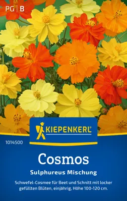 Kiepenkerl Kiepenkerl Cosmos Sulphureus Mischung – Produktbild 1 von 1