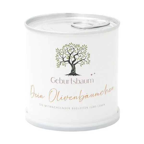 MacFlowers MacFlowers Das Olivenbäumchen zur Geburt – Produktbild 1 von 2