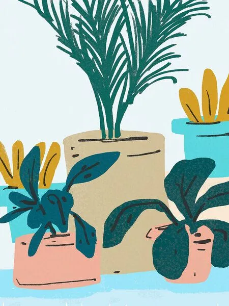 Photocircle Photocircle Poster / Leinwandbild - Little Plants – Produktbild 1 von 4