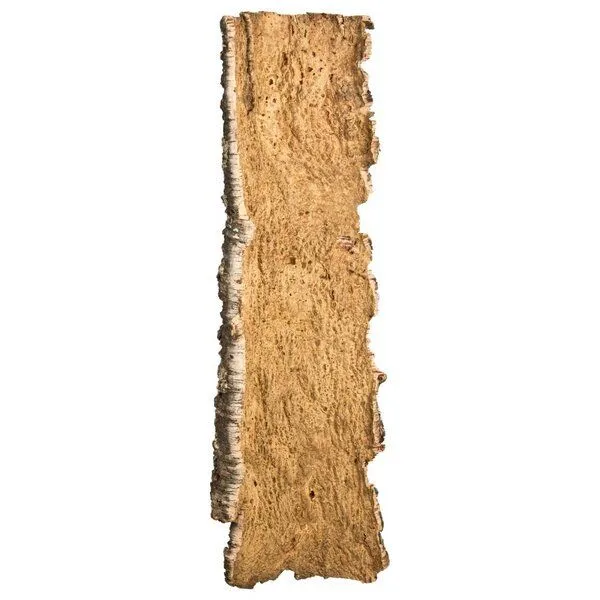 Kork-Deko Kork-Deko Korkrinde: XXL Korkstück, 100 x 30 cm – Produktbild 3 von 5