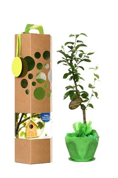 SchenkeinBäumchen SchenkeinBäumchen Happy New Home Baum – Produktbild 3 von 6