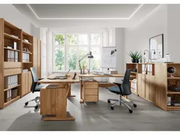 TPT Regalschrank "buxing 3.0." mit 4 kurzen Türen, B 80 x T 36 x H 222 cm, Wildeiche – Produktbild 1 von 1