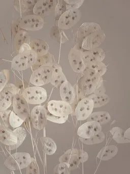 Photocircle Photocircle Poster / Leinwandbild - cream grey confetti plant – Produktbild 1 von 1