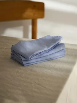 erlich textil erlich textil onomao x erlich textil Stoffservietten im 4er Pack für Unisex aus Baumwolle in zartblau – Produktbild 1 von 1