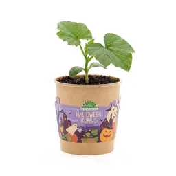 Die Stadtgärtner Die Stadtgärtner Halloween Kürbis - Becher - Geschenk & Giveaway für Halloween – Produktbild 1 von 1