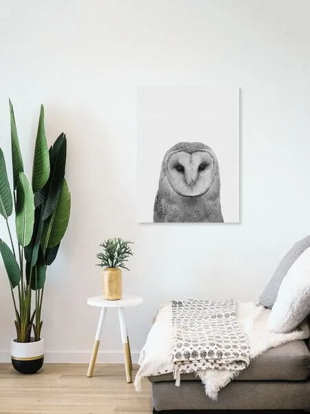 Photocircle Photocircle Poster / Leinwandbild - Owl – Produktbild 8 von 8