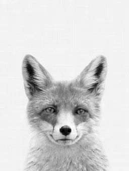 Photocircle Photocircle Poster / Leinwandbild - Fox (Black and White) – Produktbild 1 von 1