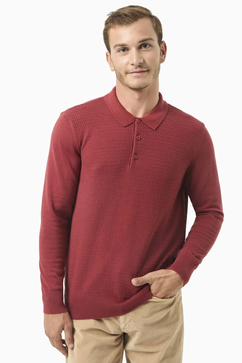 ORGANICATION ORGANICATION Herren vegan Pullover Polo Kragen Dunkelrot, Dunkelrot, – Produktbild 2 von 2