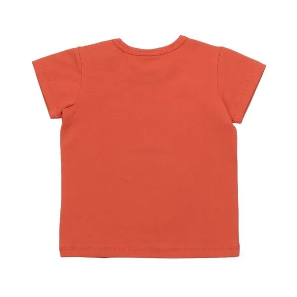 Walkiddy Kinder T-Shirt GOTS zertifiziert Bio-Baumwolle, Orange, Ananas-Motiv, Walkiddy, Orange, – Produktbild 2 von 3