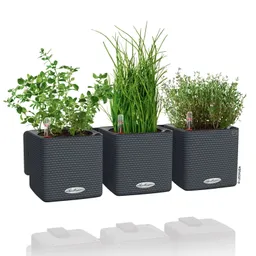Lechuza® Lechuza® 'Green Wall Home Kit Color', schiefergrau, ca. 48 x 15 x H 14 cm – Produktbild 1 von 1