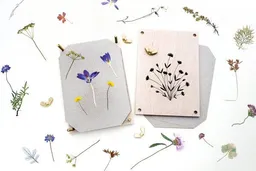 STUDIO KARAMELO STUDIO KARAMELO BLUMENPRESSE »BLÜTEN & ZWEIGE« – Produktbild 1 von 1