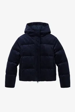 KnowledgeCotton Apparel KnowledgeCotton Apparel Damen vegan Daunenjacke Aus Cord Nachthimmelblau – Produktbild 1 von 1