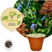 meinwoody meinwoody Baum-Pflanz-Set – Produktbild 1 von 1