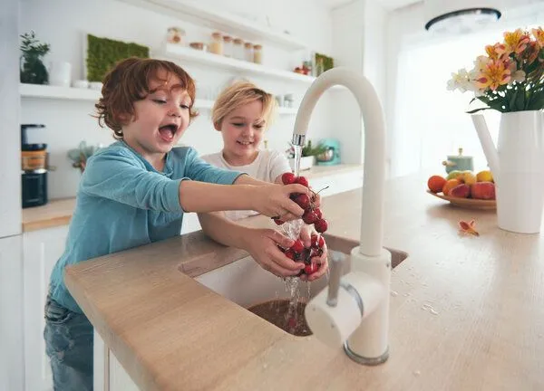 my PureWater my PureWater im 1-/2-Familienhaus WATERspin WSH – Produktbild 2 von 4
