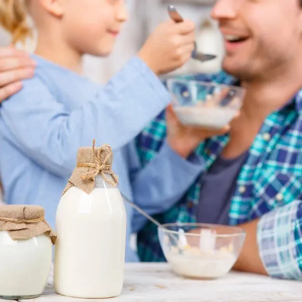 Wellness-Drinks Bio Kefir / Milchkefir mit Kefirknollen (mittel) – Produktbild 4 von 4