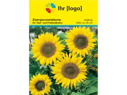 Samentütchen 'Sonnenblume' mit 1-4 farbigem individuellen Aufdruck – Produktbild 1 von 1