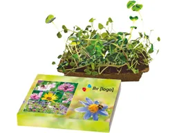 Mini-Pflanzset 'Bienenfreude' mit 1-4-farbigem Aufdruck – Produktbild 1 von 1