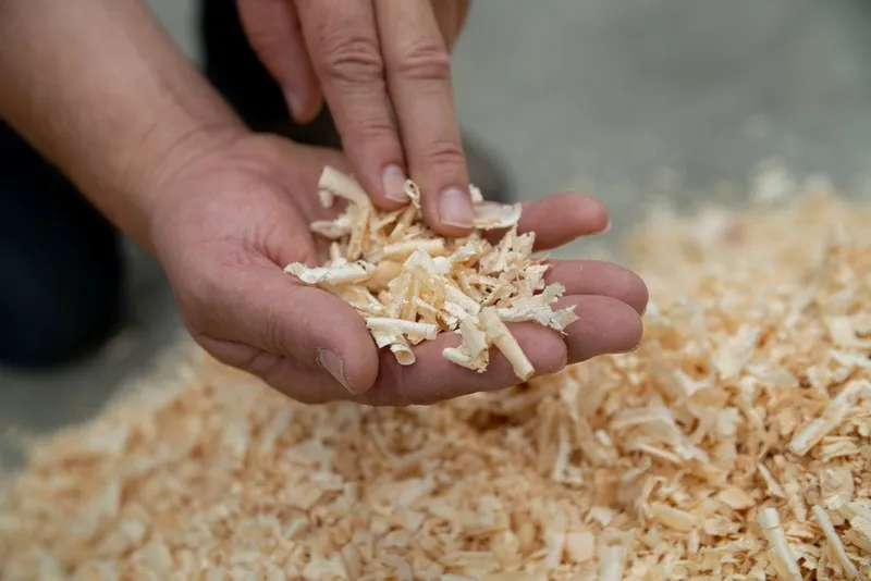 geborgenschlafen Zirbenkissen mit Schafschurwolle – Kopfkissen mit Bio Baumwollbezug, befüllt mit Zirbenspänen aus Zirbenholz, Weiß, – Produktbild 3 von 3