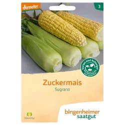 Bingenheimer Saatgut Zuckermais Sugrano – Produktbild 1 von 1
