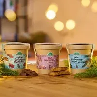Die Stadtgärtner Die Stadtgärtner Set - 3 Weihnachtliche Anzuchtsets - Weihnachtsgeschenk für Gärtner und Naturfreunde – Produktbild 1 von 1
