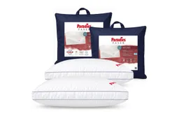 Paradies Paradies Kunstfaserkopfkissen 2 x Paradies Kopfkissen Softy fest 80x80 hohes Bauschvolumen Außensteg, Füllung: Paradies Softys, Bezug: 100% Bio Baumwolle, Seitenschläfer, Bauchschläfer, Rückenschläfer, Hergestellt in Deutschland – Produktbild 1 von 1