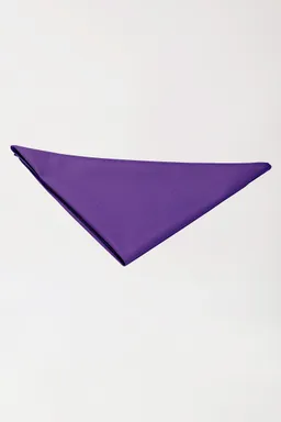 BERUFSBEKLEIDUNG Gastro Halstuch Unisex, pflaume - Berufsbekleidung.de – Produktbild 1 von 1