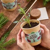 Die Stadtgärtner Die Stadtgärtner Schokoblumen aus dem Becher I Anzuchtset I Nachhaltiges Weihnachtsgeschenk – Produktbild 1 von 2